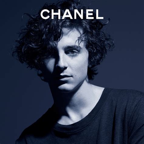 pub chanel timothée chalamet|timothee chalamet.